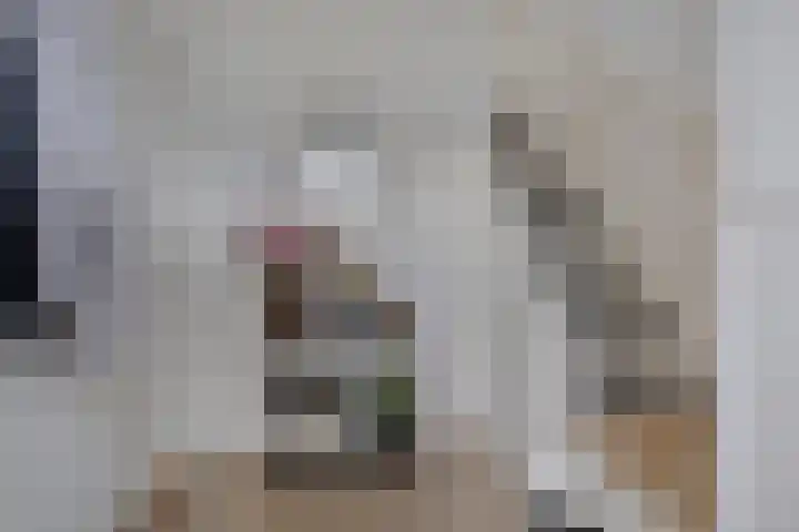 Dr. Kuyperlaan 21 Sneek thumbnail 7