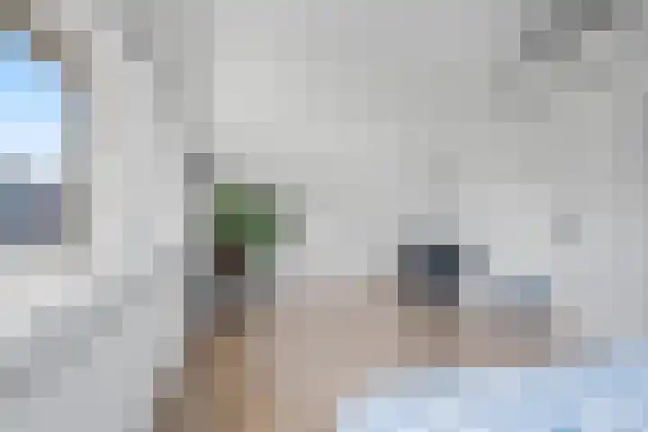 Dr. Kuyperlaan 28 Woerden thumbnail 35