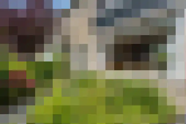Dr. Kuyperlaan 28 Woerden thumbnail 4