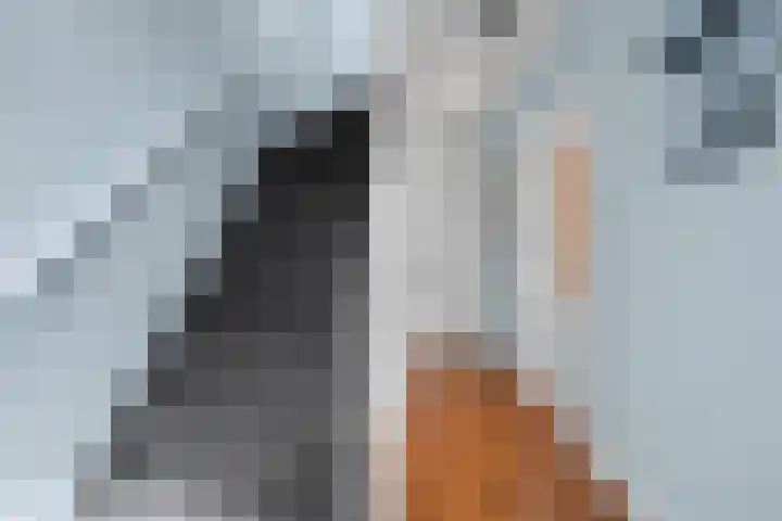 Dr. Kuyperlaan 28 Woerden thumbnail 5