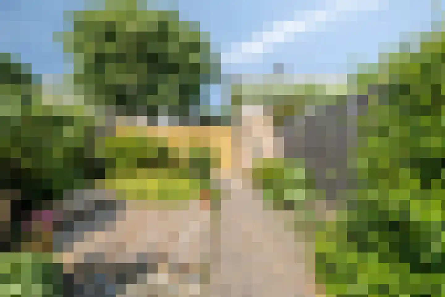Dr. Kuyperlaan 30 Woerden thumbnail 35