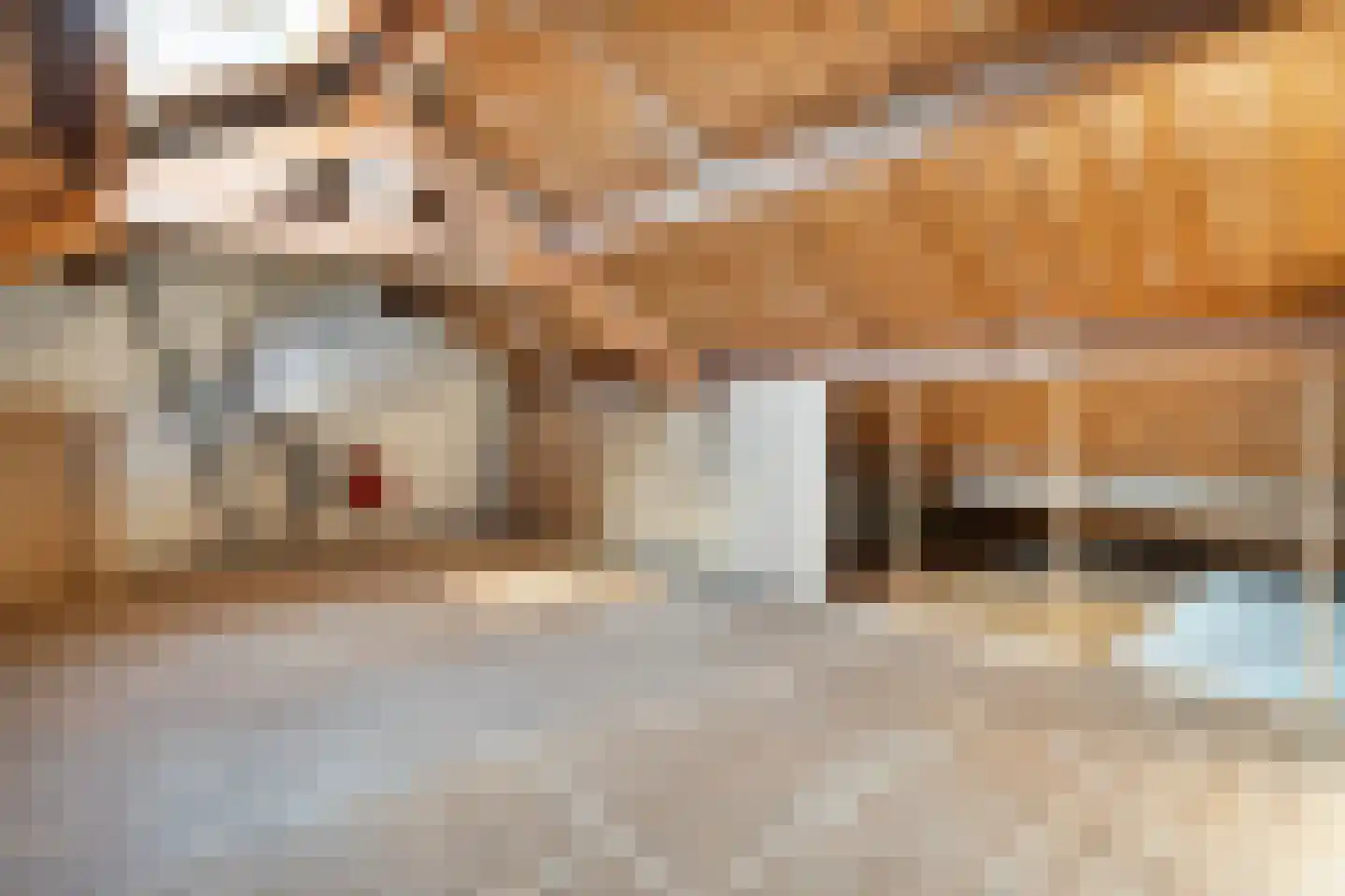 Dr. Kuyperlaan 37 Zwolle thumbnail 26