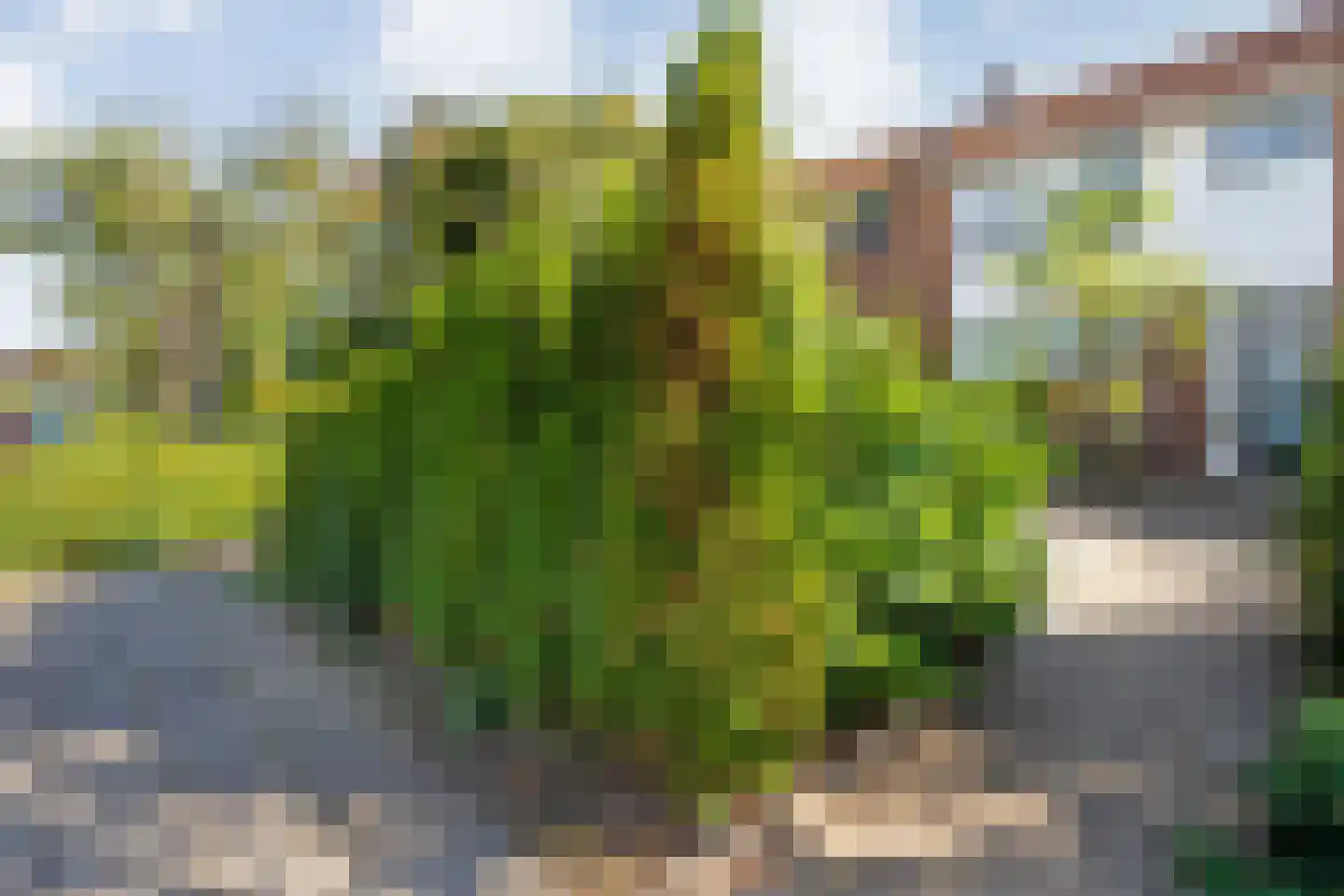 Dr. Kuyperlaan 37 Zwolle thumbnail 38