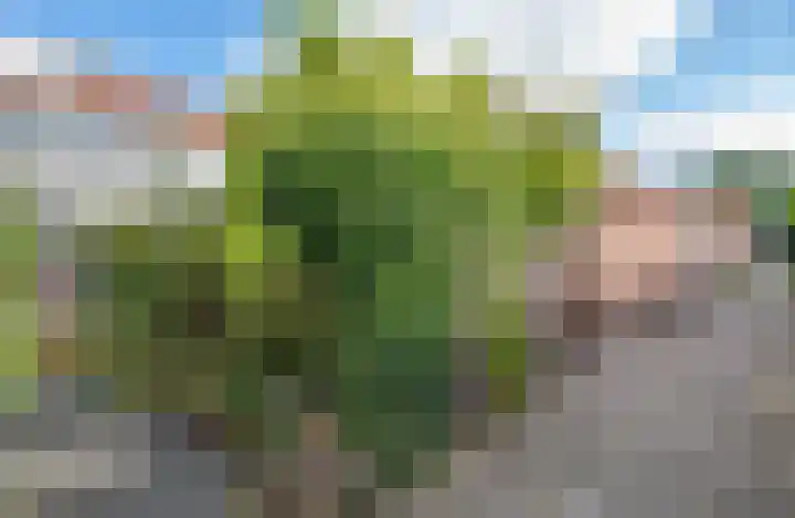 Dr. Kuyperlaan 39 Zwolle thumbnail 22