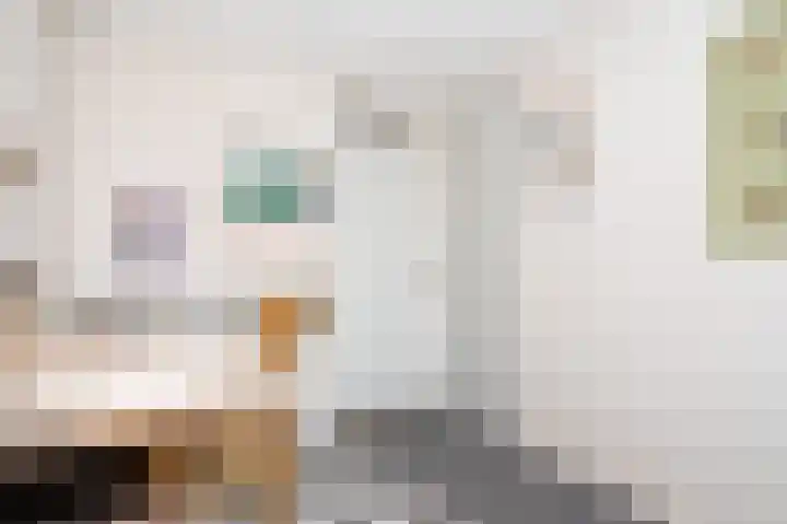 Dr. Kuyperlaan 39 Zwolle thumbnail 33