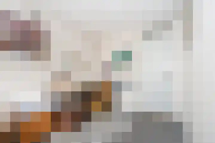 Dr. Kuyperlaan 39 Zwolle thumbnail 34