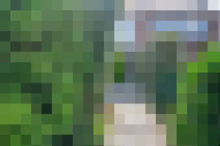 Dr. Kuyperlaan 39 Zwolle thumbnail 51