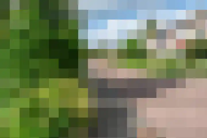 Dr. Kuyperlaan 39 Zwolle thumbnail 52