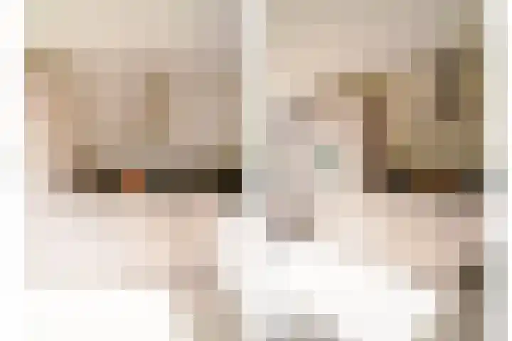 Dr. Kuyperlaan 40 Zwolle thumbnail 12