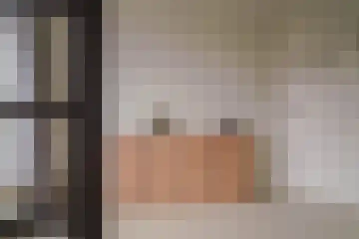 Dr. Kuyperlaan 40 Zwolle thumbnail 34