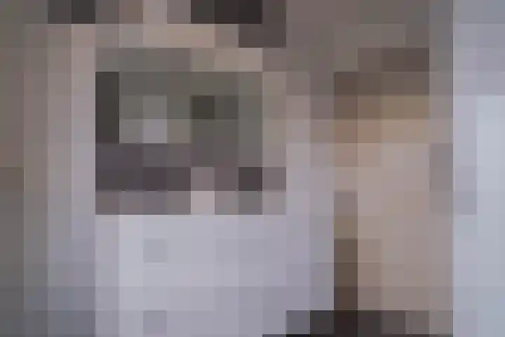 Dr. Kuyperlaan 40 Zwolle thumbnail 38