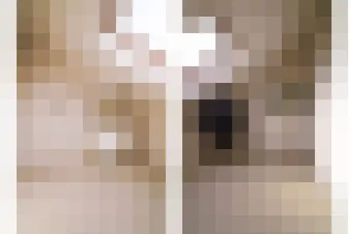 Dr. Kuyperlaan 40 Zwolle thumbnail 45