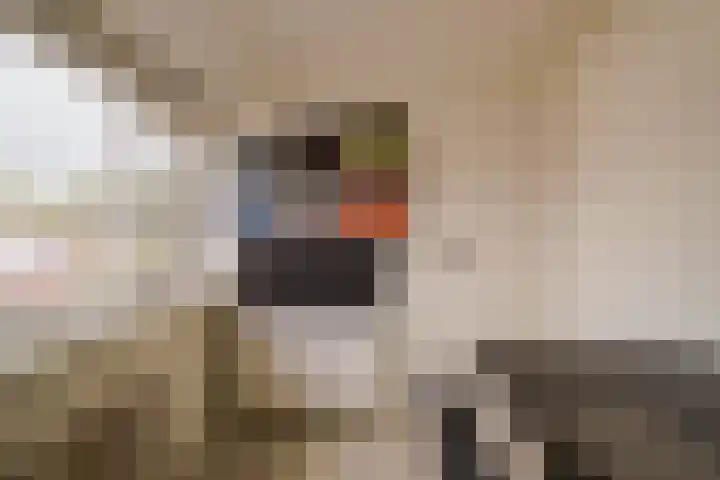 Dr. Kuyperlaan 40 Zwolle thumbnail 49