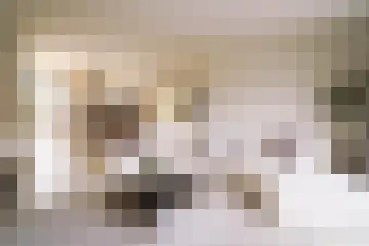 Dr. Kuyperlaan 40 Zwolle thumbnail 5