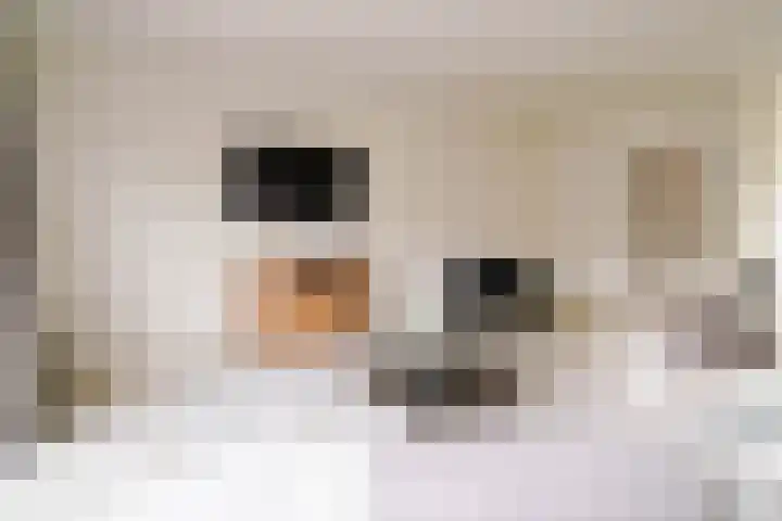 Dr. Kuyperlaan 40 Zwolle thumbnail 6