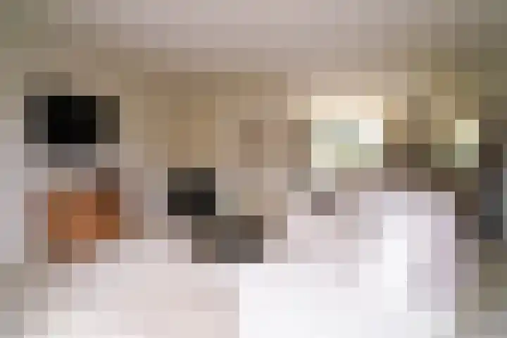 Dr. Kuyperlaan 40 Zwolle thumbnail 7