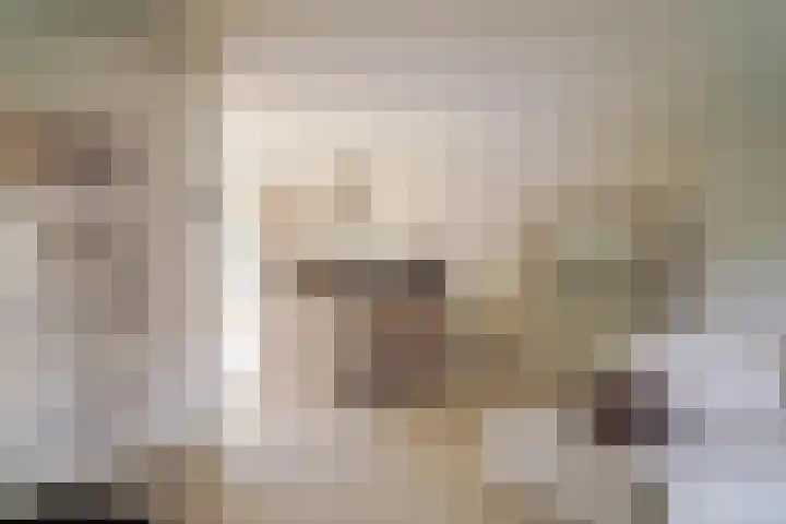 Dr. Kuyperlaan 40 Zwolle thumbnail 8