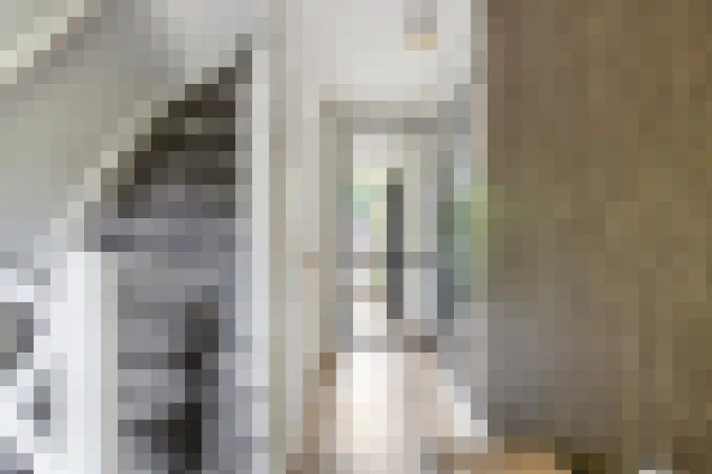 Dr. Kuyperplantsoen 5 Helmond thumbnail 10