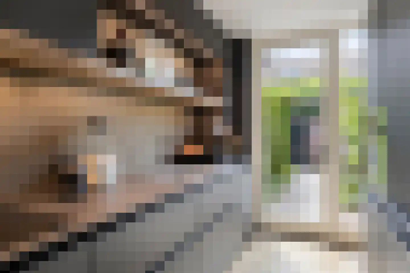 Dr. Kuyperplantsoen 5 Helmond thumbnail 21