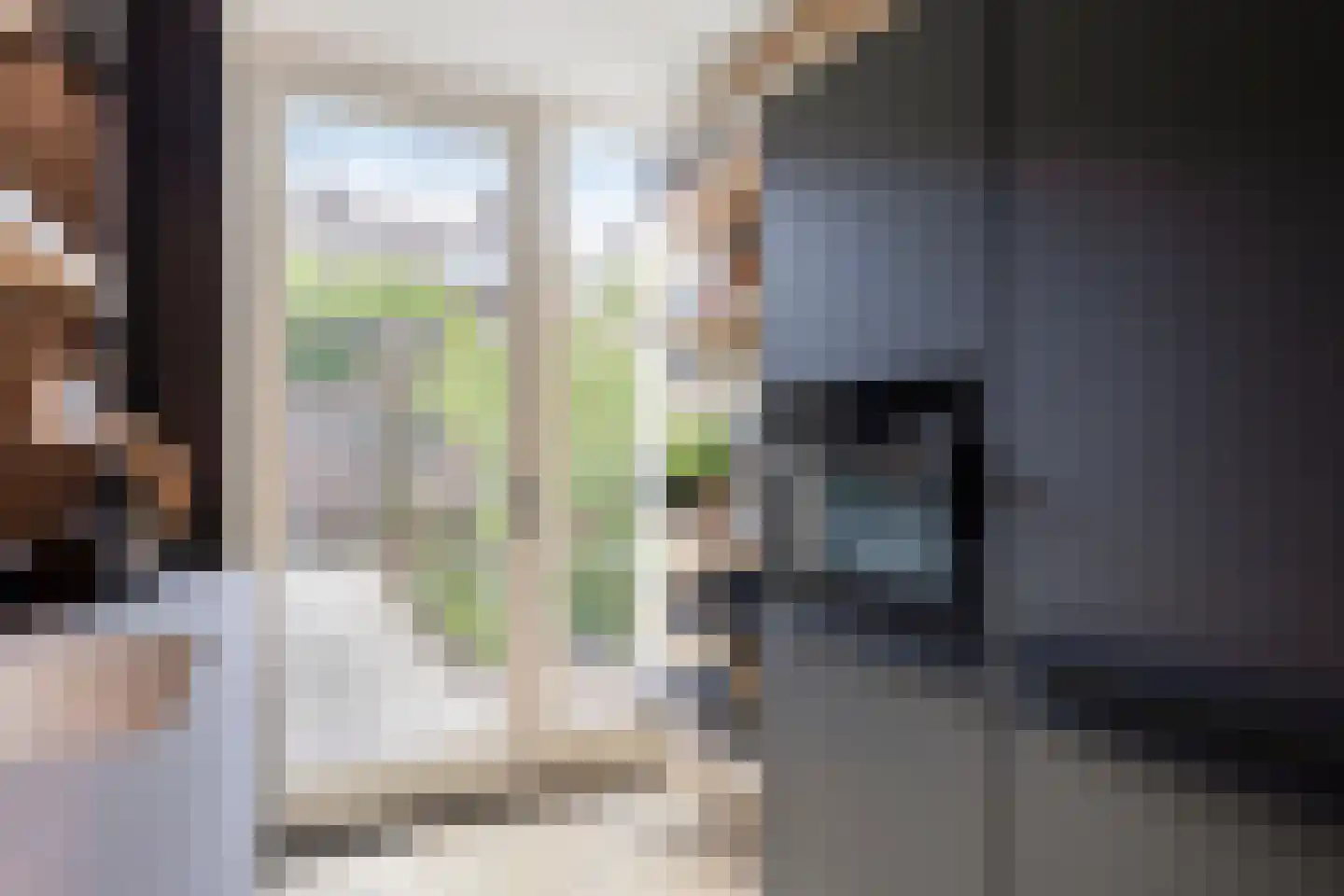 Dr. Kuyperplantsoen 5 Helmond thumbnail 23