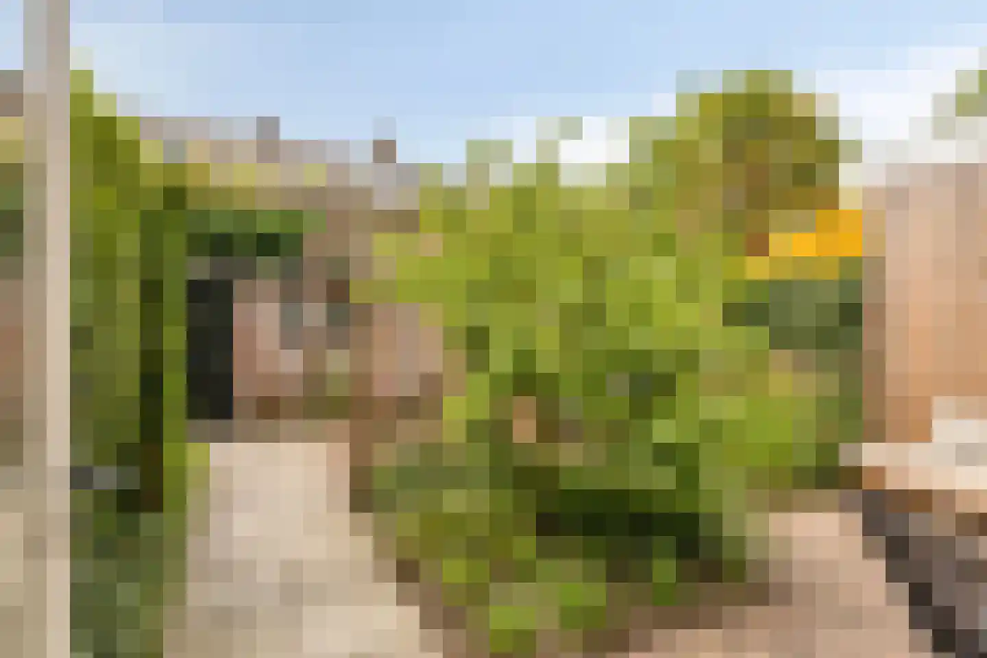 Dr. Kuyperplantsoen 5 Helmond thumbnail 26