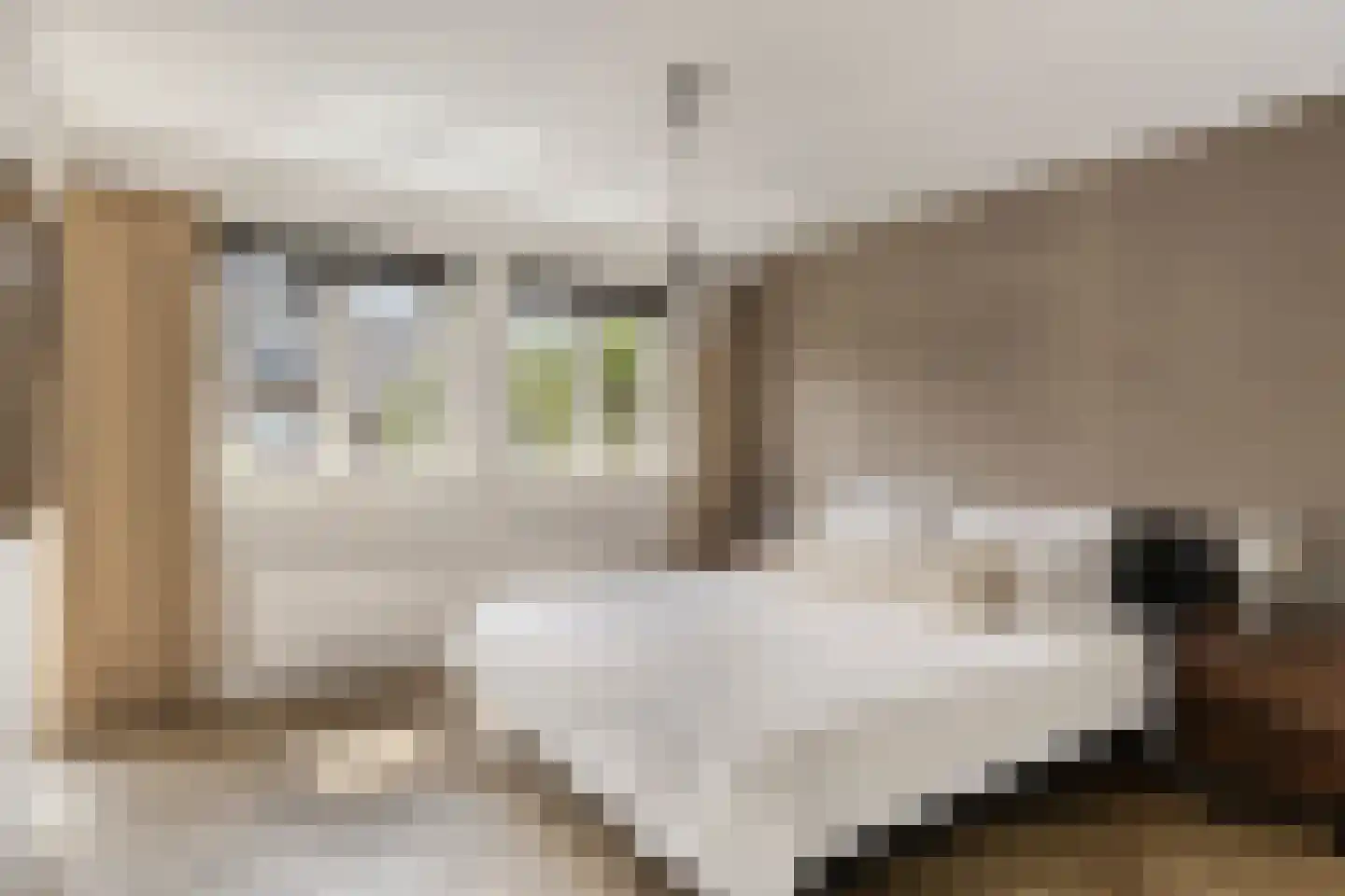 Dr. Kuyperplantsoen 5 Helmond thumbnail 33