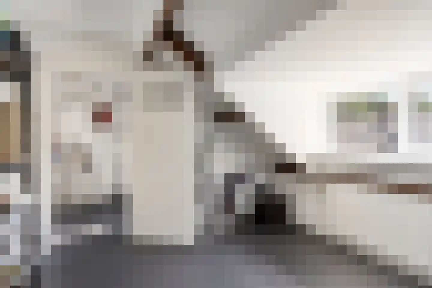 Dr. Kuyperplantsoen 5 Helmond thumbnail 47