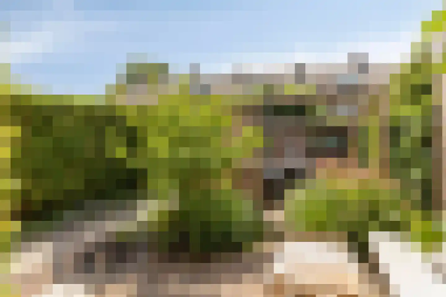 Dr. Kuyperplantsoen 5 Helmond thumbnail 5