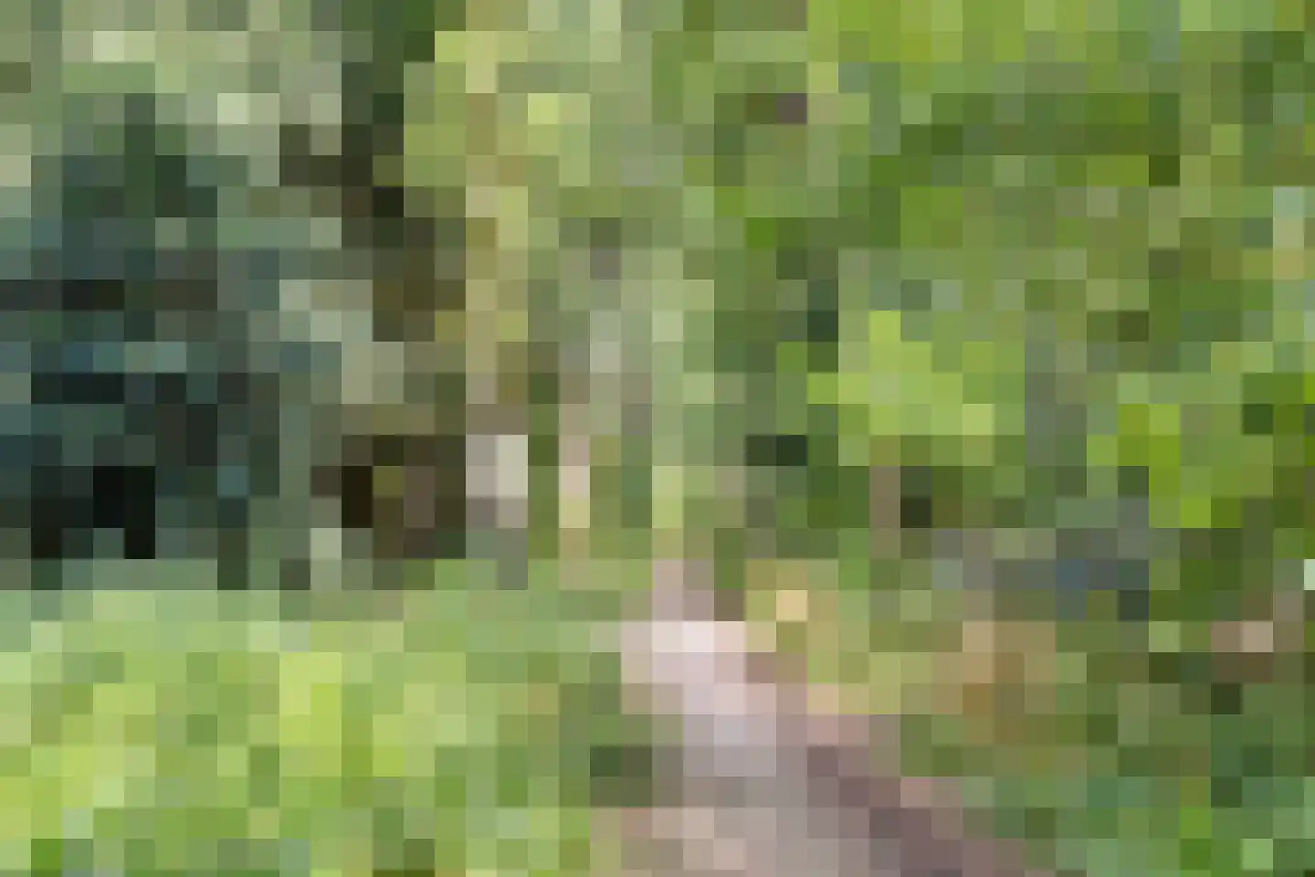 Dr. Kuyperplantsoen 5 Helmond thumbnail 51