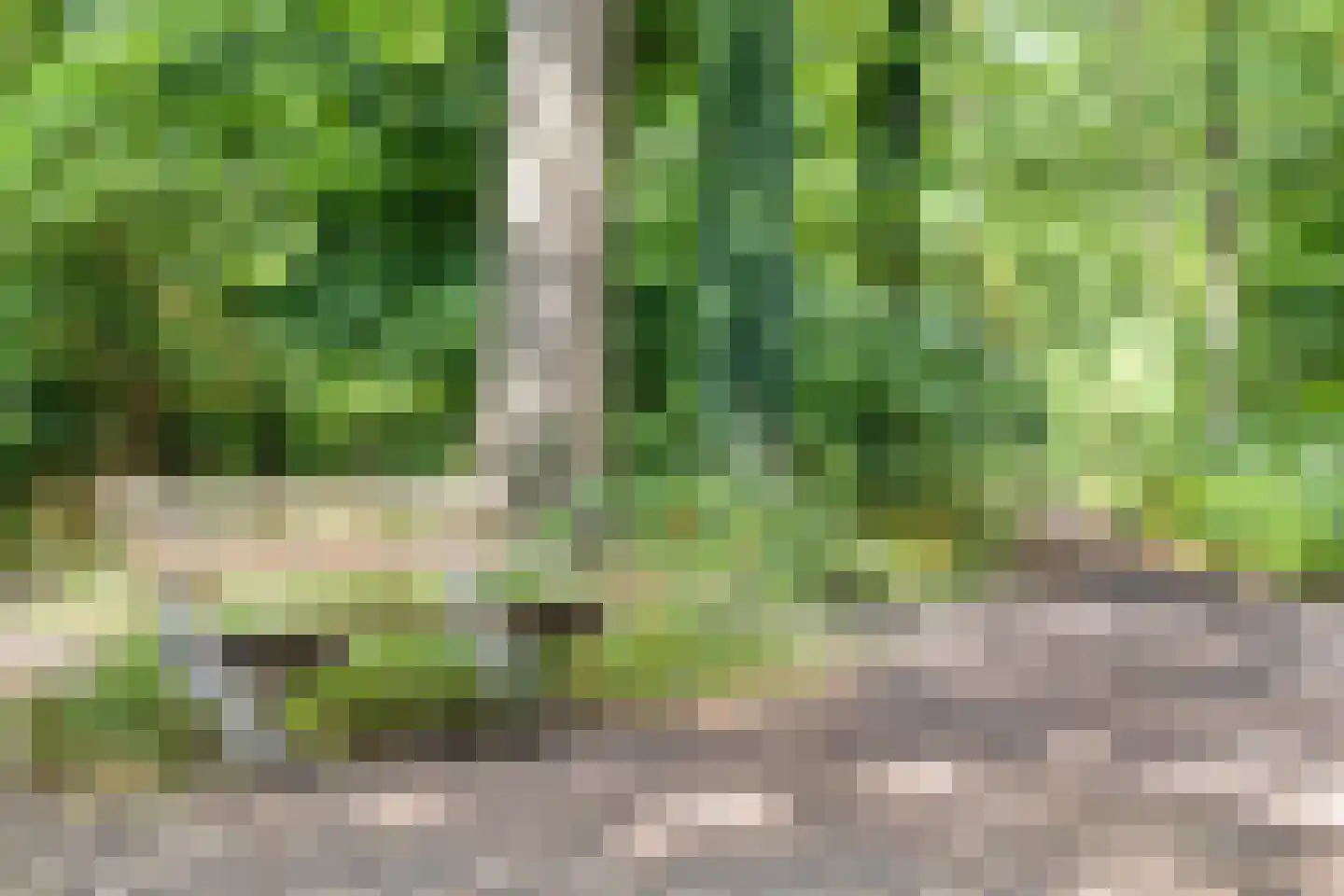 Dr. Kuyperplantsoen 5 Helmond thumbnail 52