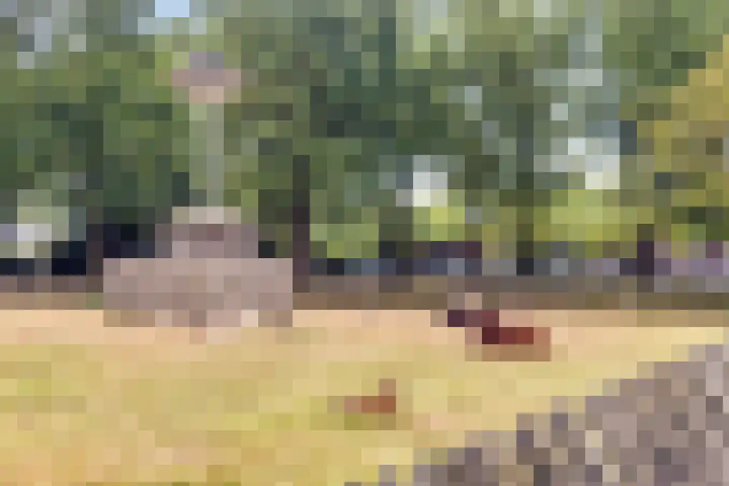 Dr. Kuyperplantsoen 5 Helmond thumbnail 54