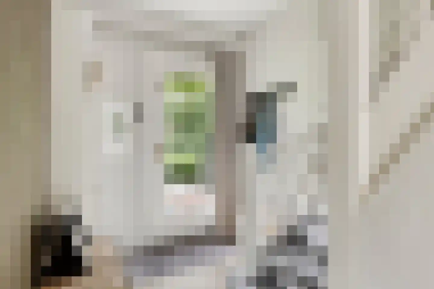 Dr. Kuyperplantsoen 5 Helmond thumbnail 9