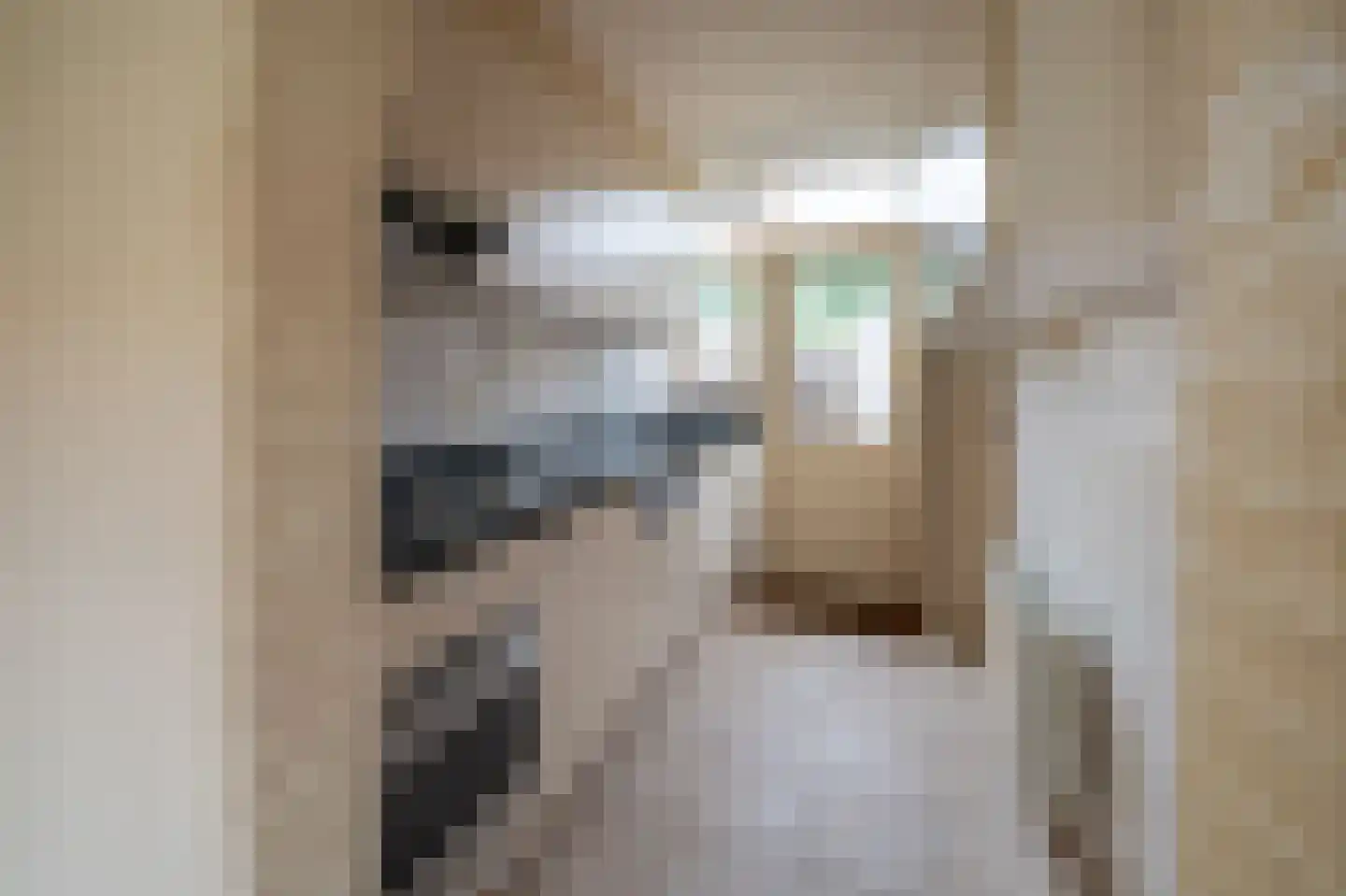 Dr. Kuyperstraat 11 Veenendaal thumbnail 12