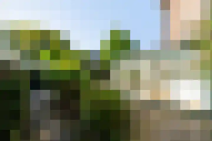 Dr. Kuyperstraat 19 Barendrecht thumbnail 23
