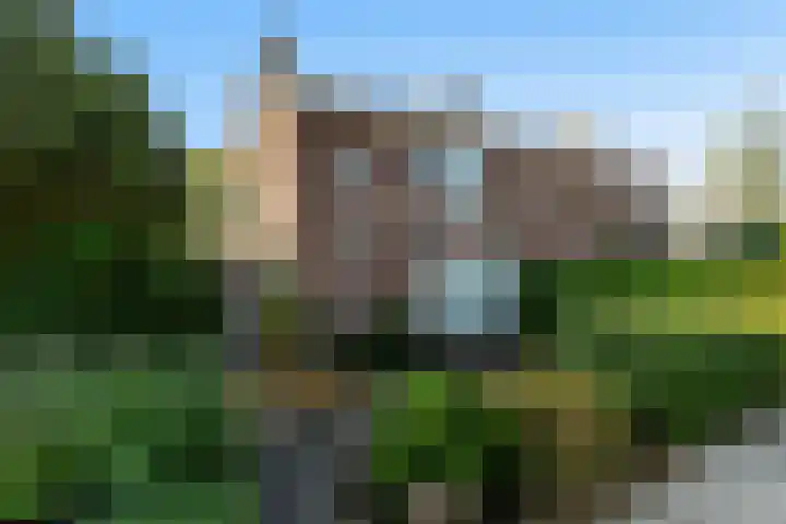 Dr. Kuyperstraat 19 Barendrecht thumbnail 25