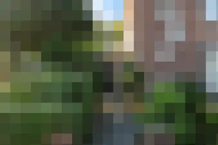 Dr. Kuyperstraat 19 Barendrecht thumbnail 26