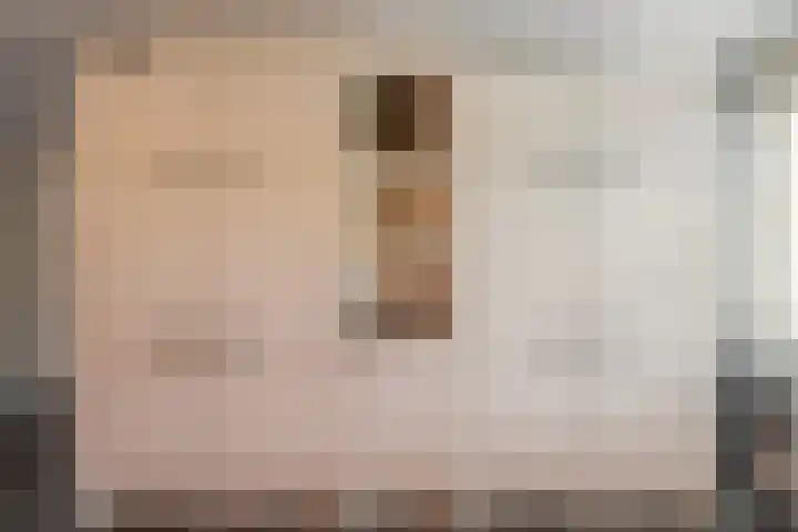 Dr. Kuyperstraat 3 a Ridderkerk thumbnail 17