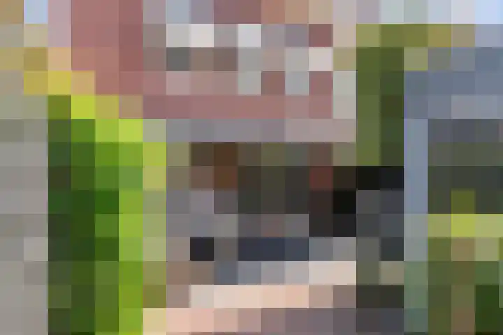 Dr. Kuyperstraat 3 a Ridderkerk thumbnail 23