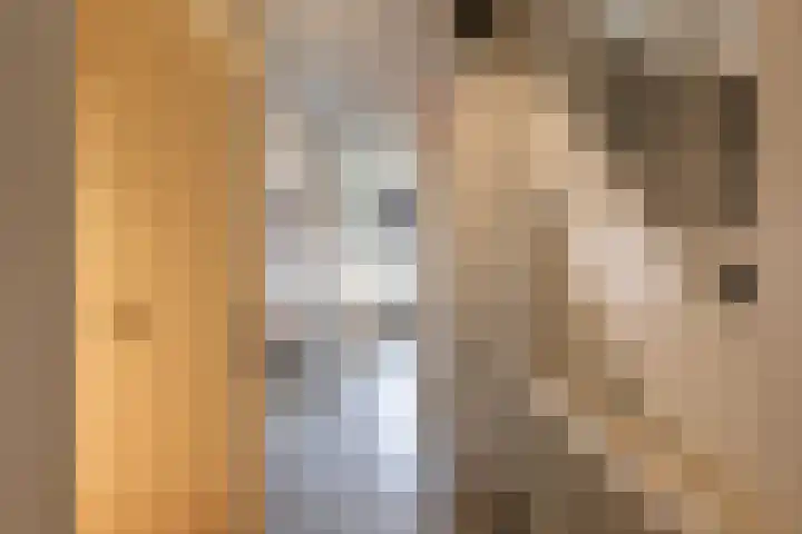 Dr. Kuyperstraat 3 a Ridderkerk thumbnail 24