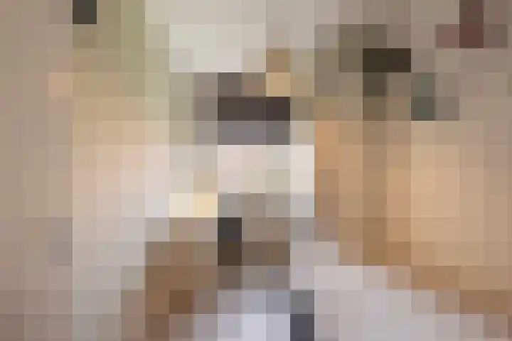 Dr. Kuyperstraat 3 a Ridderkerk thumbnail 25