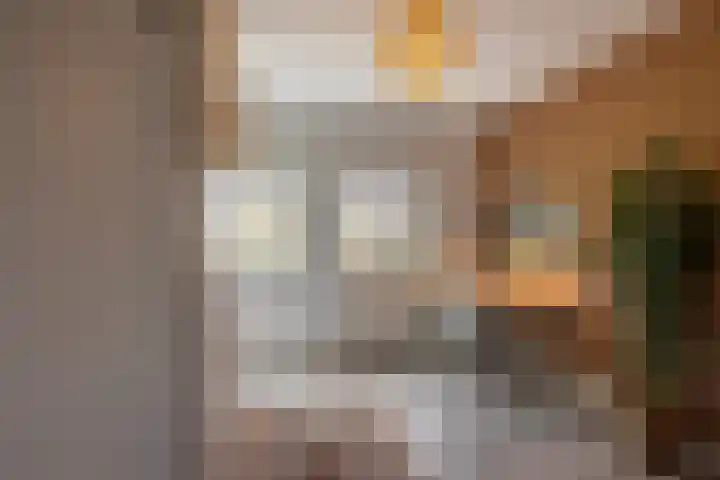 Dr. Kuyperstraat 3 a Ridderkerk thumbnail 32