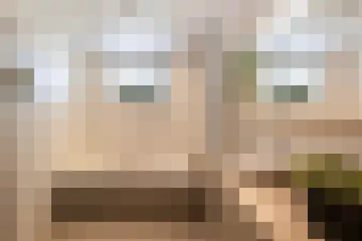 Dr. Kuyperstraat 3 a Ridderkerk thumbnail 36