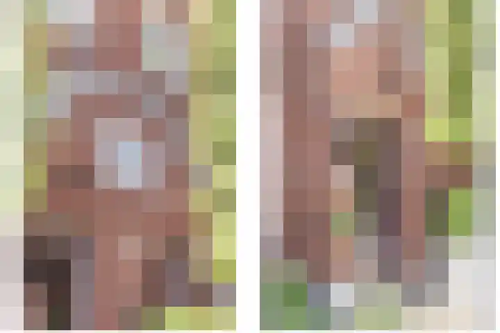 Dr. Kuyperstraat 3 a Ridderkerk thumbnail 4