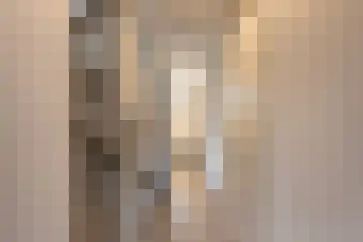 Dr. Kuyperstraat 3 a Ridderkerk thumbnail 40