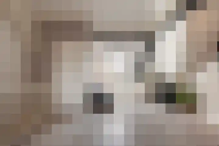 Dr. Kuyperstraat 3 a Ridderkerk thumbnail 42