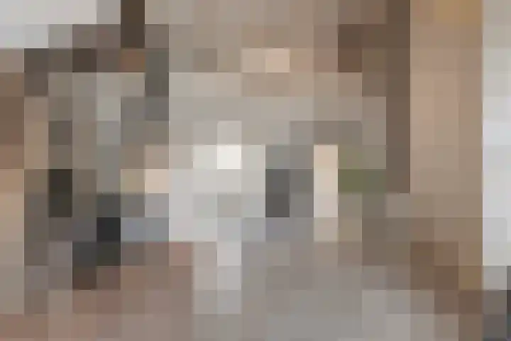 Dr. Kuyperstraat 3 a Ridderkerk thumbnail 44