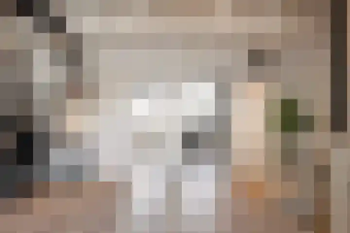 Dr. Kuyperstraat 3 a Ridderkerk thumbnail 45
