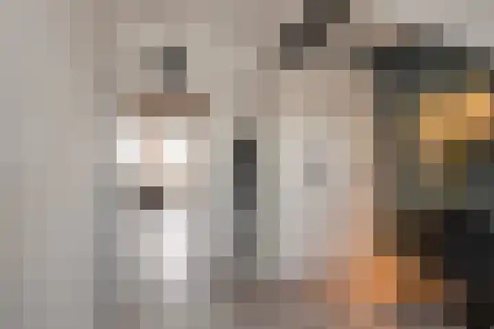 Dr. Kuyperstraat 3 a Ridderkerk thumbnail 47