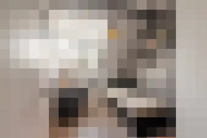 Dr. Kuyperstraat 3 a Ridderkerk thumbnail 48