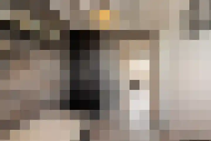 Dr. Kuyperstraat 3 a Ridderkerk thumbnail 49
